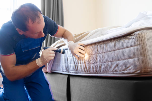 Best Fumigation Services  in Oak Park Heights, MN